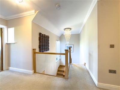 Picture 24